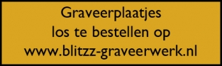 5x Graveerplaatje rechthoek goud